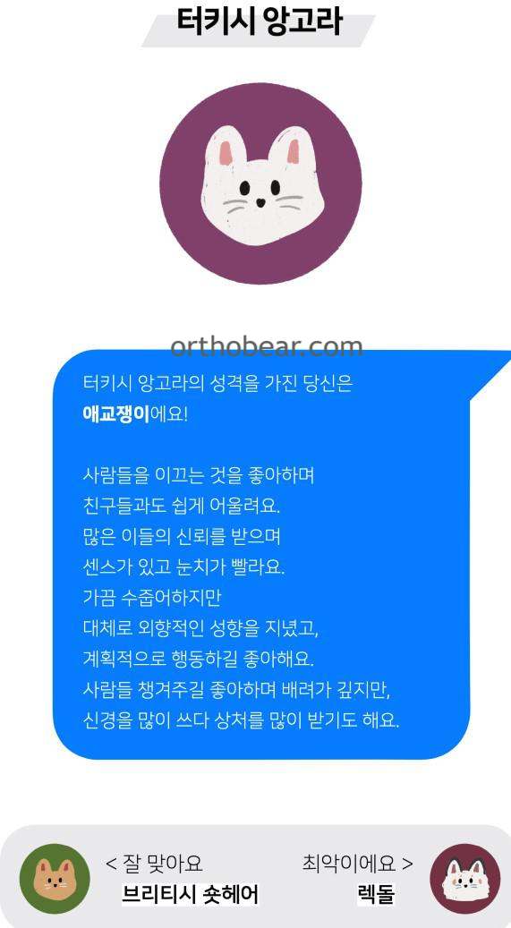 터키시 앙고라 mbti