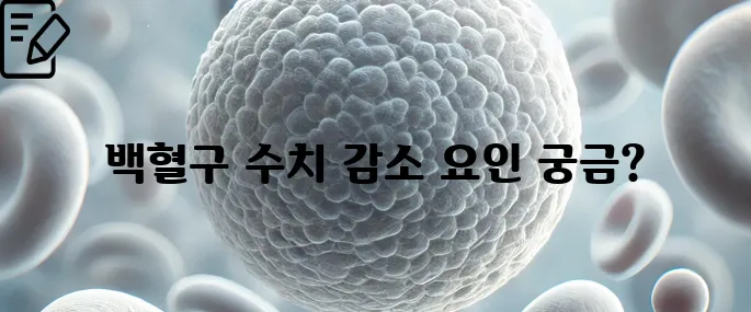 백혈구 수치가 낮은 이유 한번에 확인하기