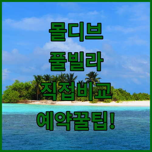 직접 비교해본 몰디브 풀빌라 숙소 장..