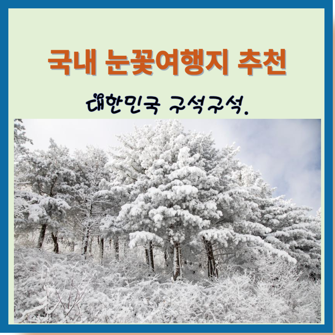 국내 군꽃여행지와 눈꽃사진