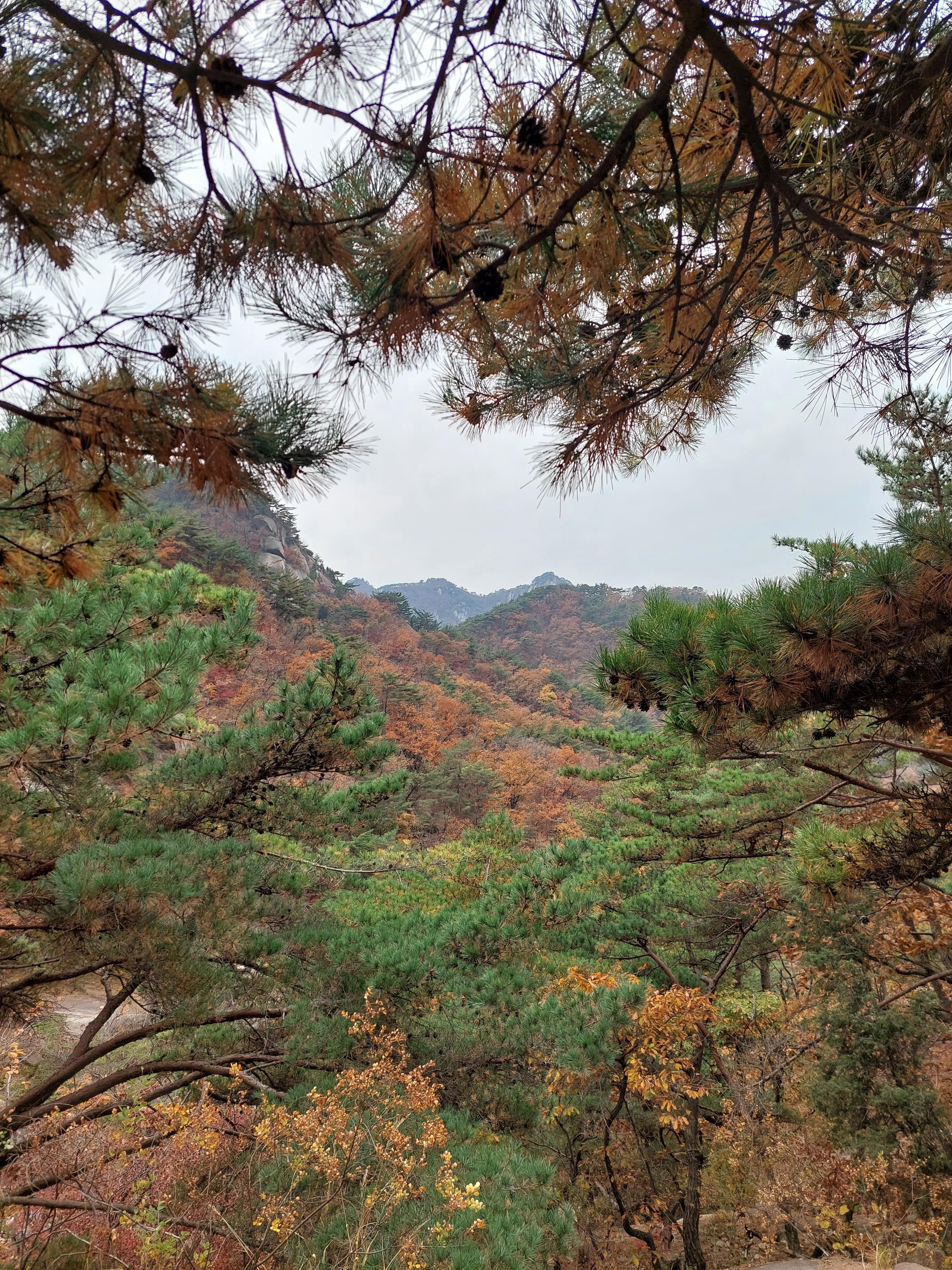 숨은벽