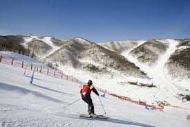 가족여행 스키장 BEST 5 (휘닉스&amp;#44;비발디&amp;#44;곤지암&amp;#44;하이원&amp;#44;지산스키장) 관련사진