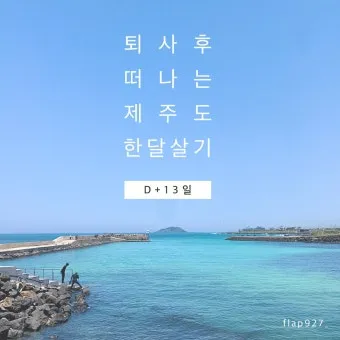 제주도 한 달 살기 아기와 함께하는 특별한 여행 준비 팁_7