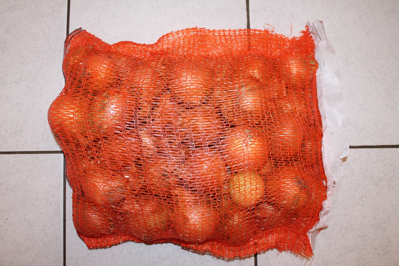 망에 들어가있는 양파