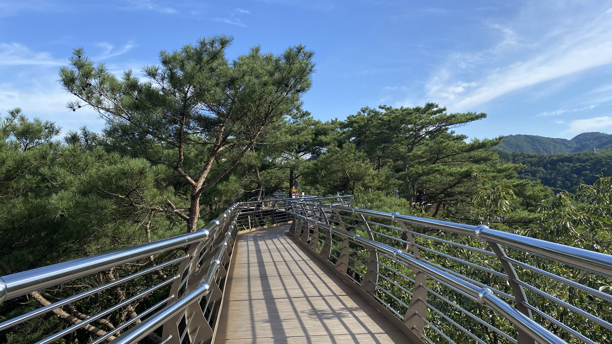 원주 소금산 출렁다리 케이블카 입장료, 등산코스, 운영시간 총정리