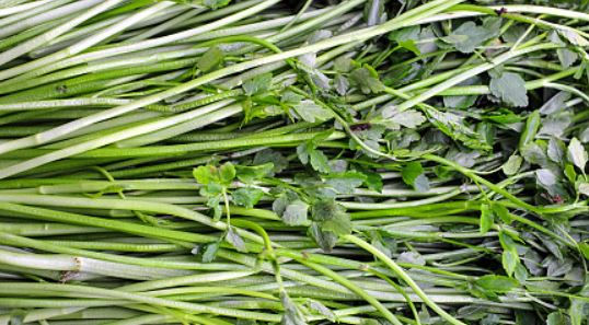 미세먼지에 좋은 음식