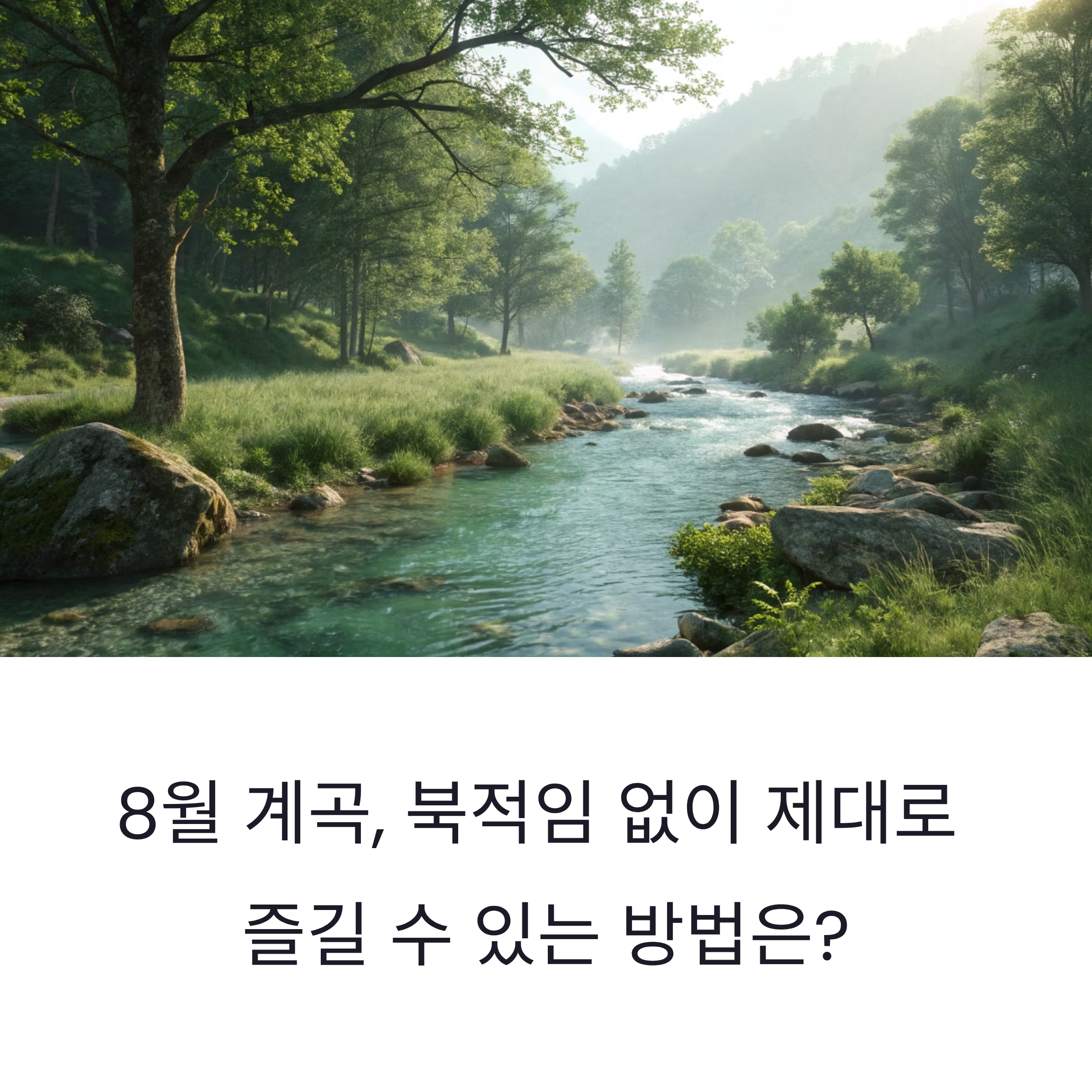 2025년 8월, 사람 없는 '숨은 계곡' BEST 5 총정리