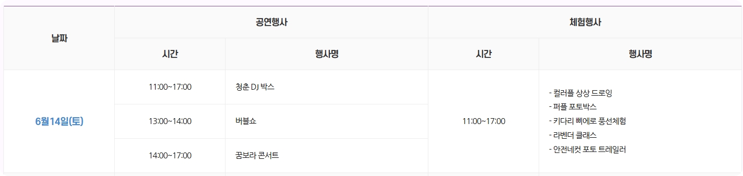 동해 무릉별유천지 라벤더 축제 2025, 전체일정