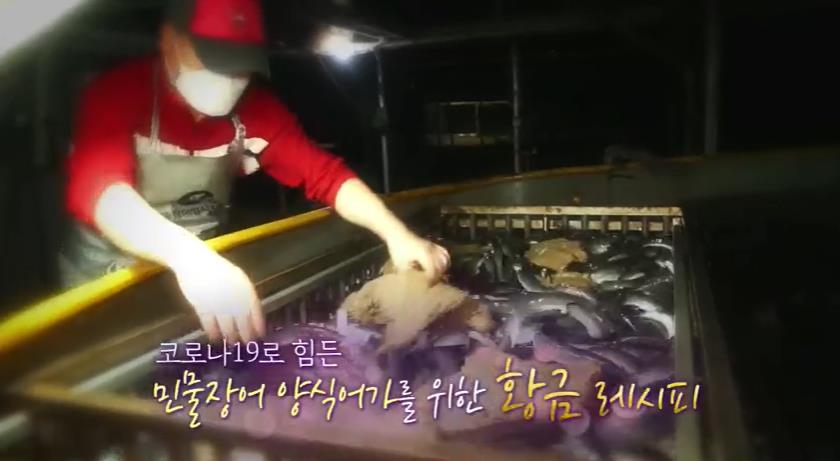 민물장어-양식