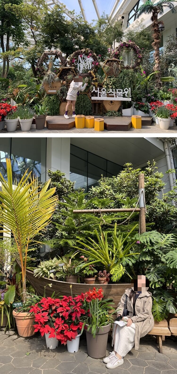 서울 식물원 입장 후 첫 포토스팟