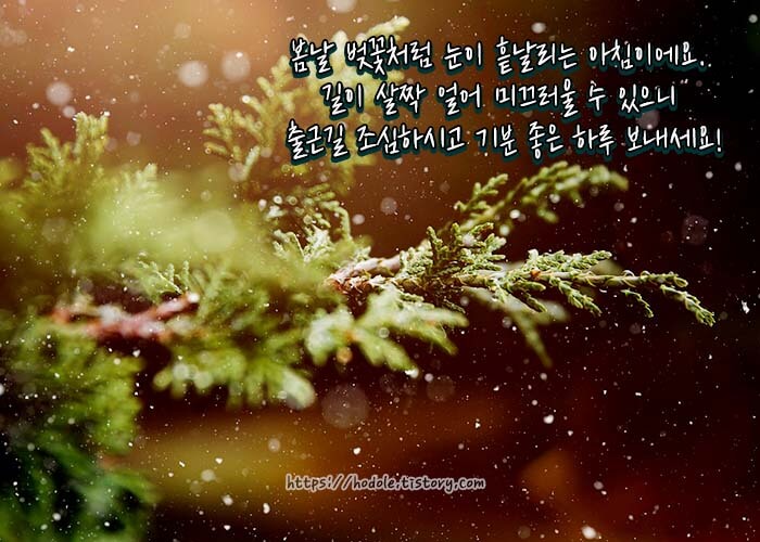 눈길-안전운전-문자