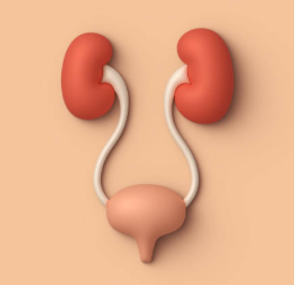 요도염으로 인한 합병증