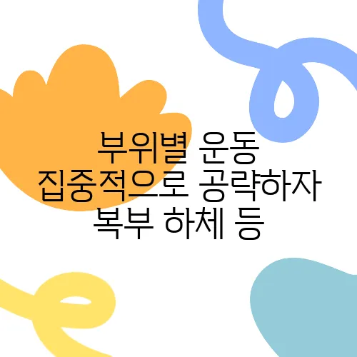 부위별 운동 집중적으로 공략하자 복부 하체 등