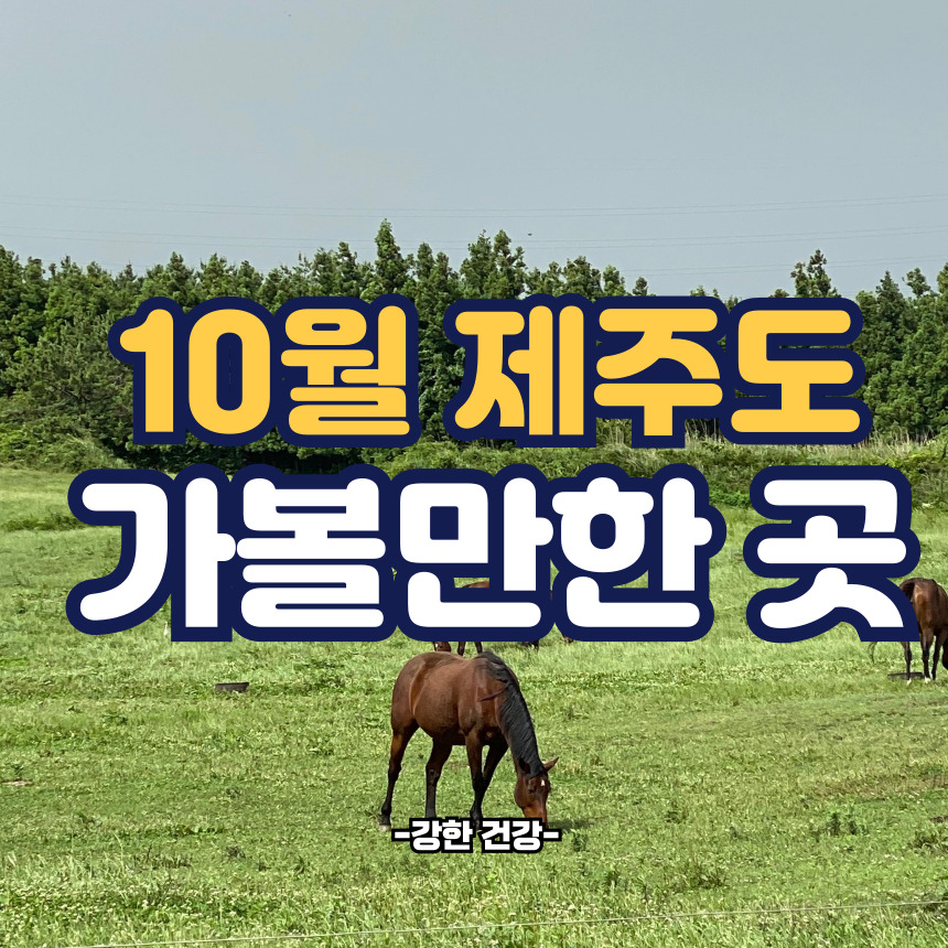 10월 제주도 가볼 만한 곳