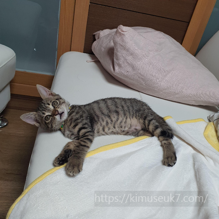 깨물고 긁기 시작하던 시기