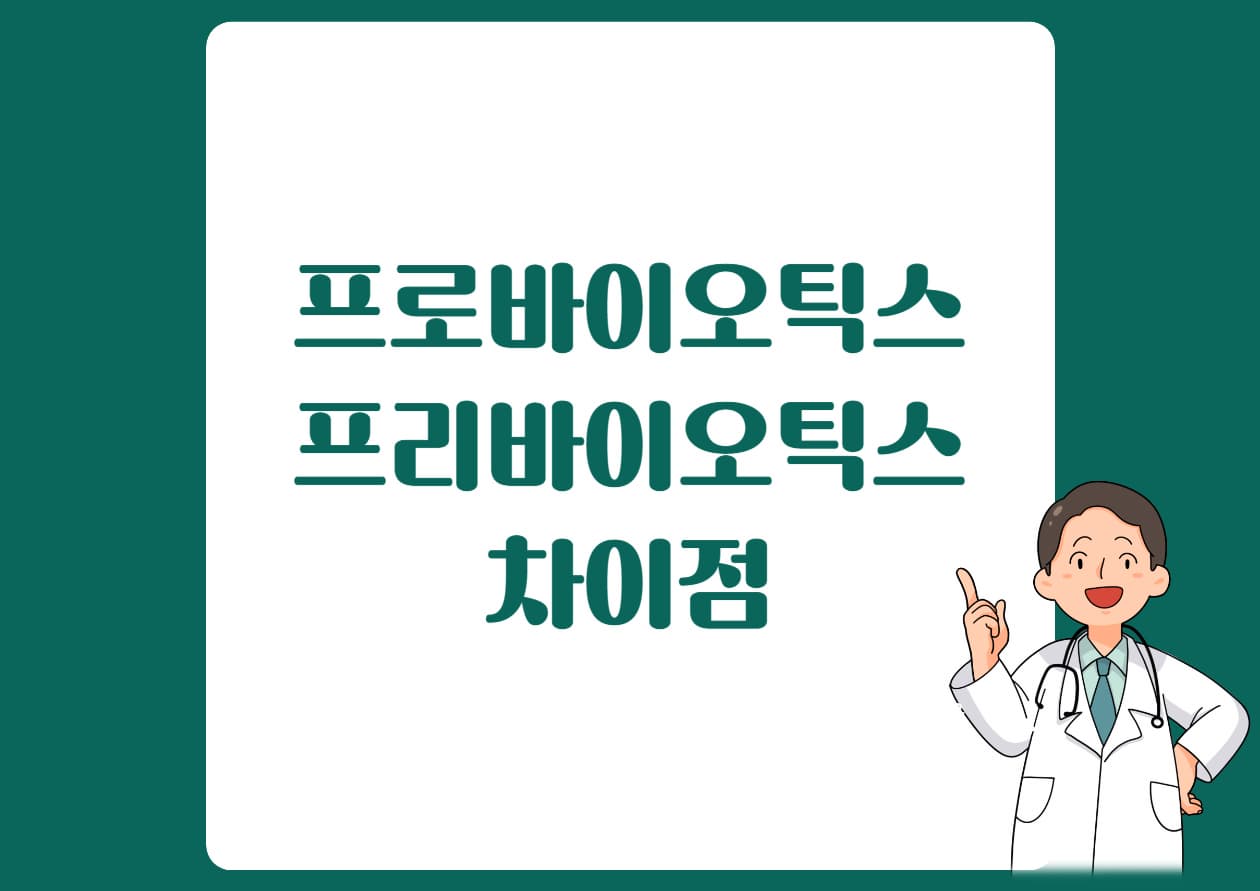차이점