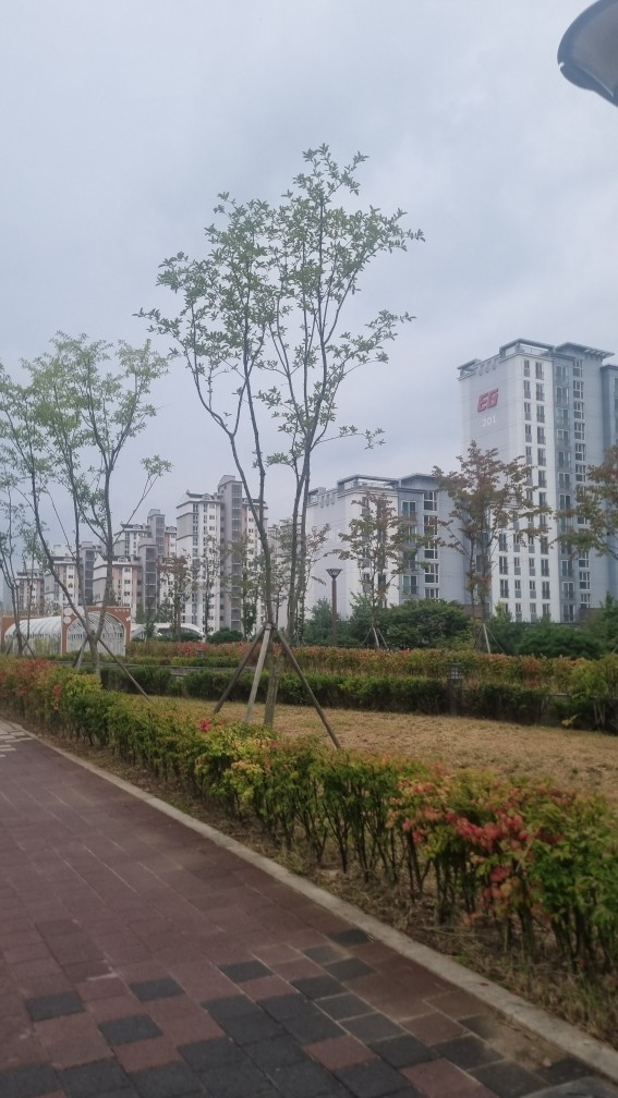 탑대우 옆 굿모닝 파크