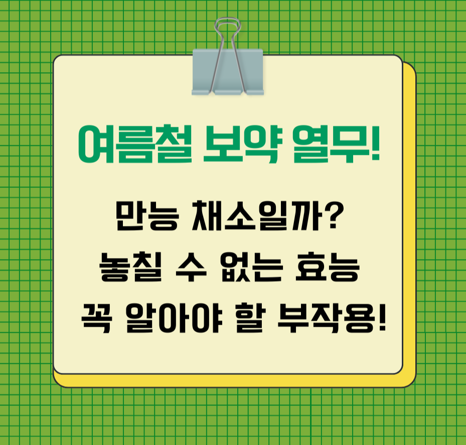 여름철 보약 열무! 만능 채소일까? 놓칠 수 없는 효능 꼭 알아야 할 부작용!