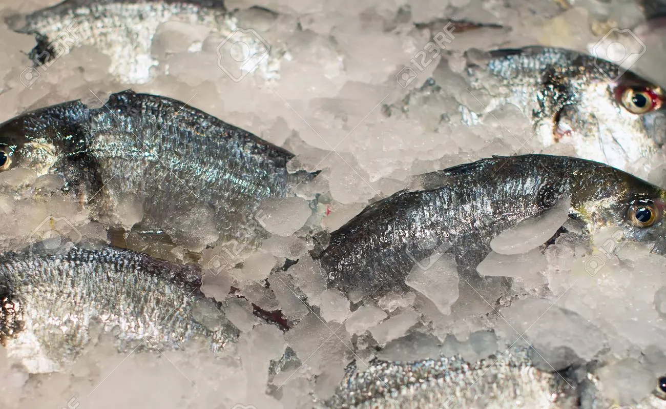 냉동생선 해동 생선 맛있게 굽기 꿀팁_2