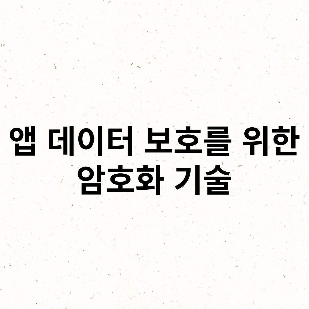 앱 데이터 보호를 위한 암호화 기술