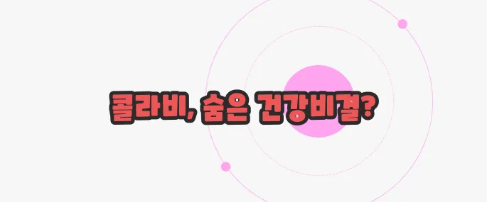 콜라비 효능 이제 하나씩 확인해보죠