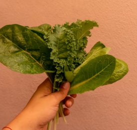 이석증에 좋은 음식 영양제 식단