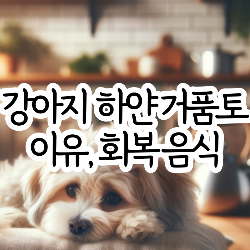 강아지 하얀 거품토 하는 이유 흰색 거품토 음식