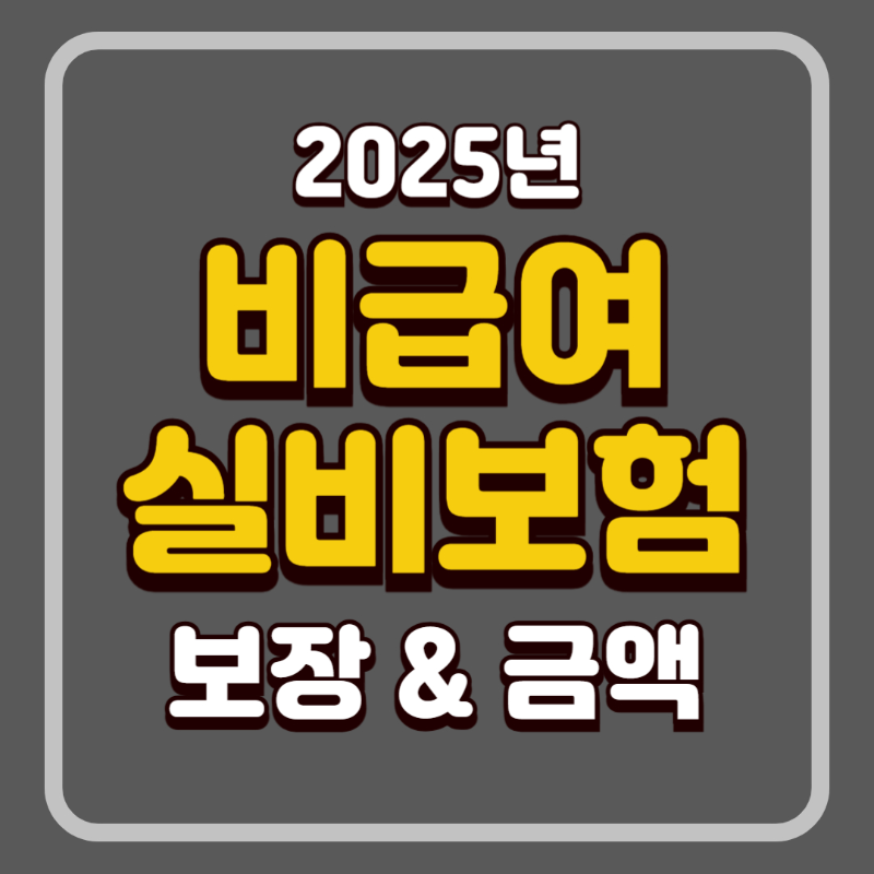 비급여 실비보험 보장범위