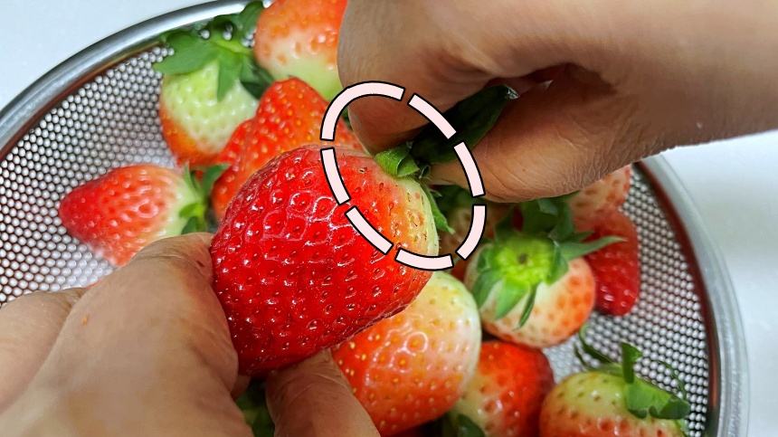 딸기-세척-요령