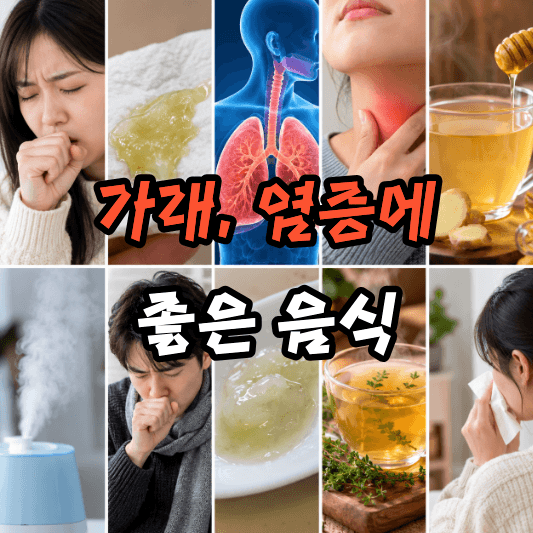 가래 없애는 법