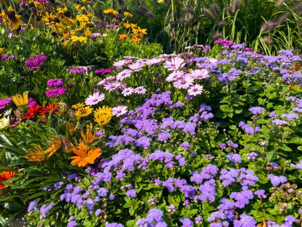 서울국제정원박람회