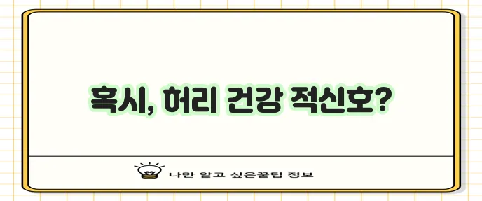허리 디스크 전조증상 5가지 꼭 알아두세요!
