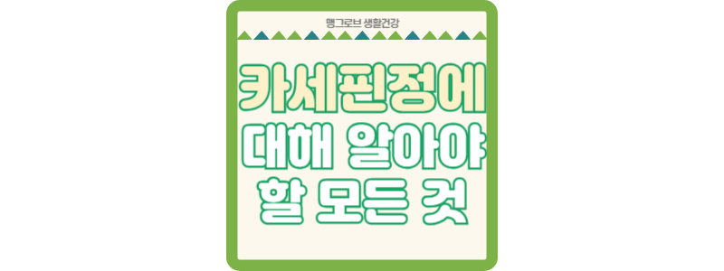 카세핀정에 대해 알아야 할 모든 것 썸네일