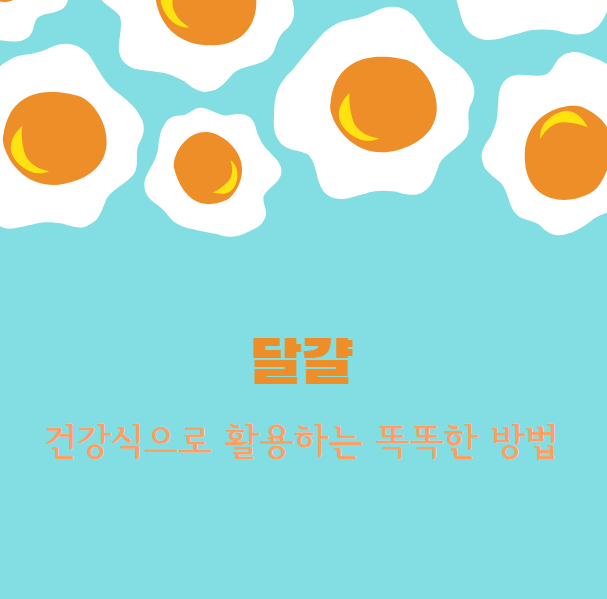 구하기 쉬운 달걀, 건강식으로 활용하는 똑똑한 방법