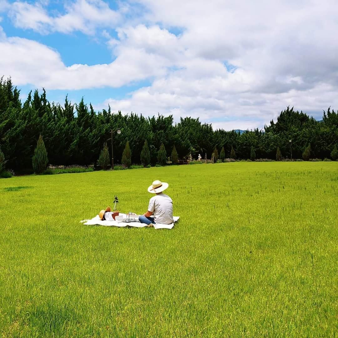 생방송투데이 스카이바이크&amp;#44; 쌍산재&amp;#44; 향나무숲