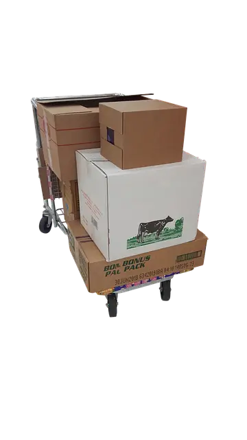 CJ대한통운&amp;#44; 주 7일 배송 &lsquo;매일 오네&rsquo; 도입&hellip; 이커머스 시장 판도 변화 예고