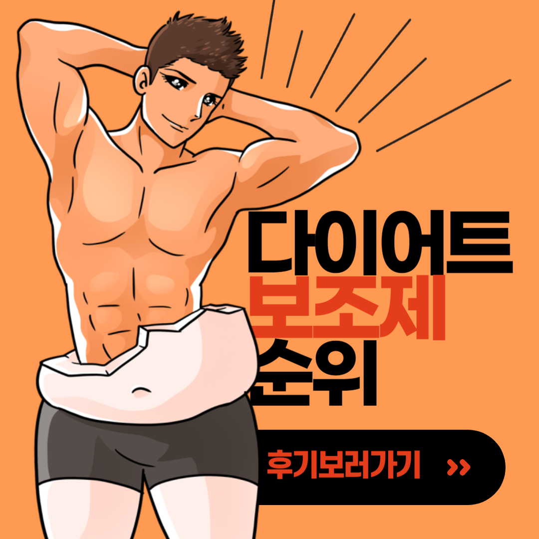 다이어트 보조제 순위