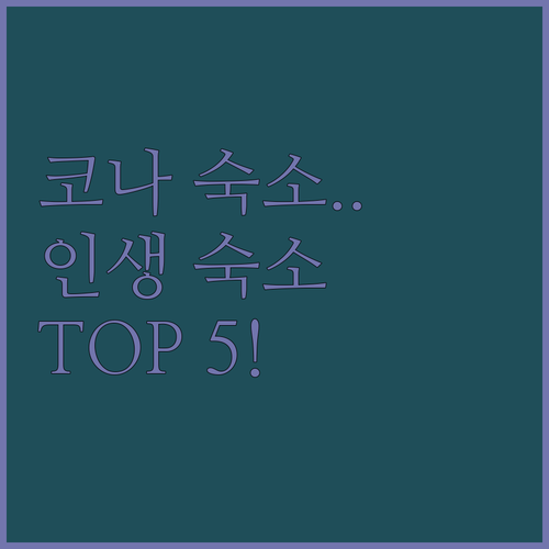 코나 여행 스타일별 인기 숙소 5선 ..