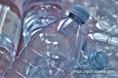 미세 플라스틱의 순환 고리: 생태계 오염은 어디까지 진행되었나?