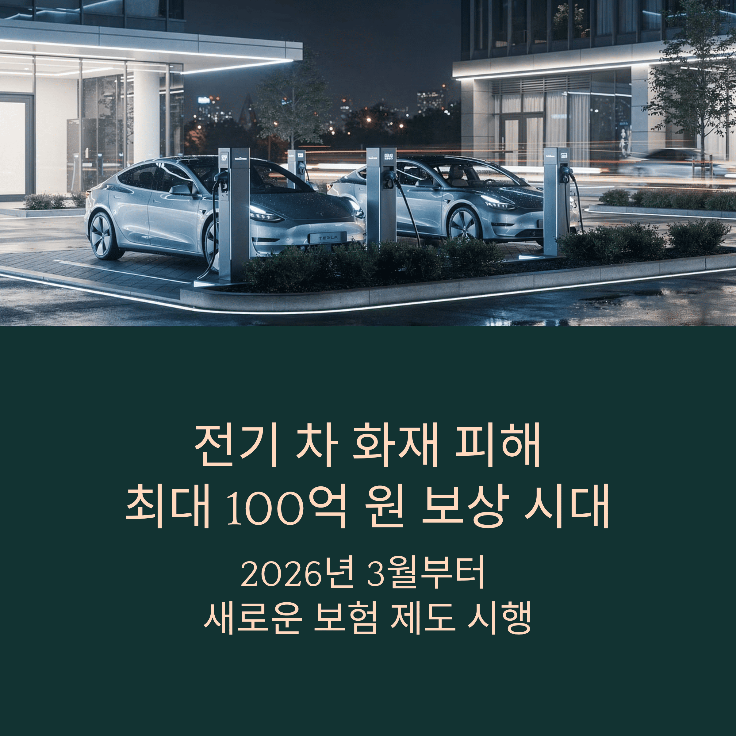 전기 차 화재 보상 100억 시대