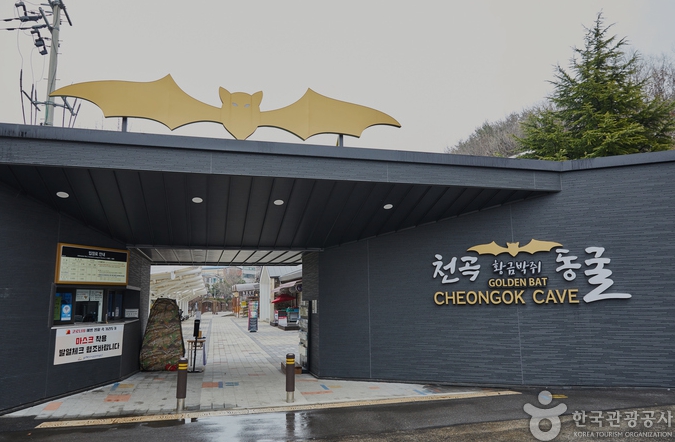 천곡천연동굴-입장문