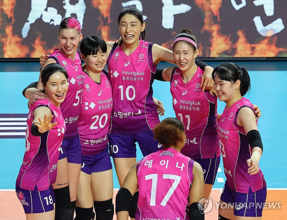 2025 2026 시즌 흥국생명 배구단 선수 명단 및 연봉 계약 FA 외국인 선수 정보 로스터 분석_4