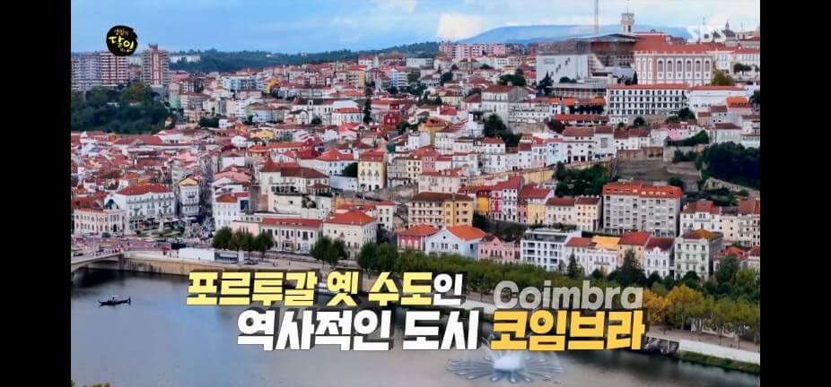 생활의 달인 988회 에그타르트 달인 서울 성북구 포르투갈 에그타르트와 텐투갈 맛집 나따드나따