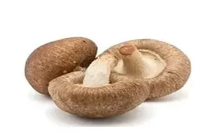 표고버섯