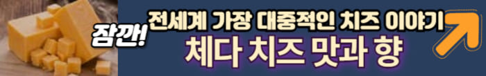 체다치즈