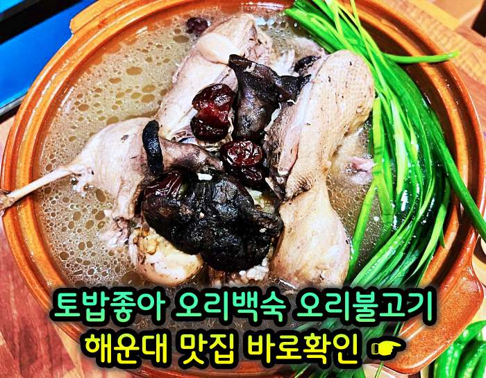 부산 해운대 맛집 무항생제 1등급 오리 백숙