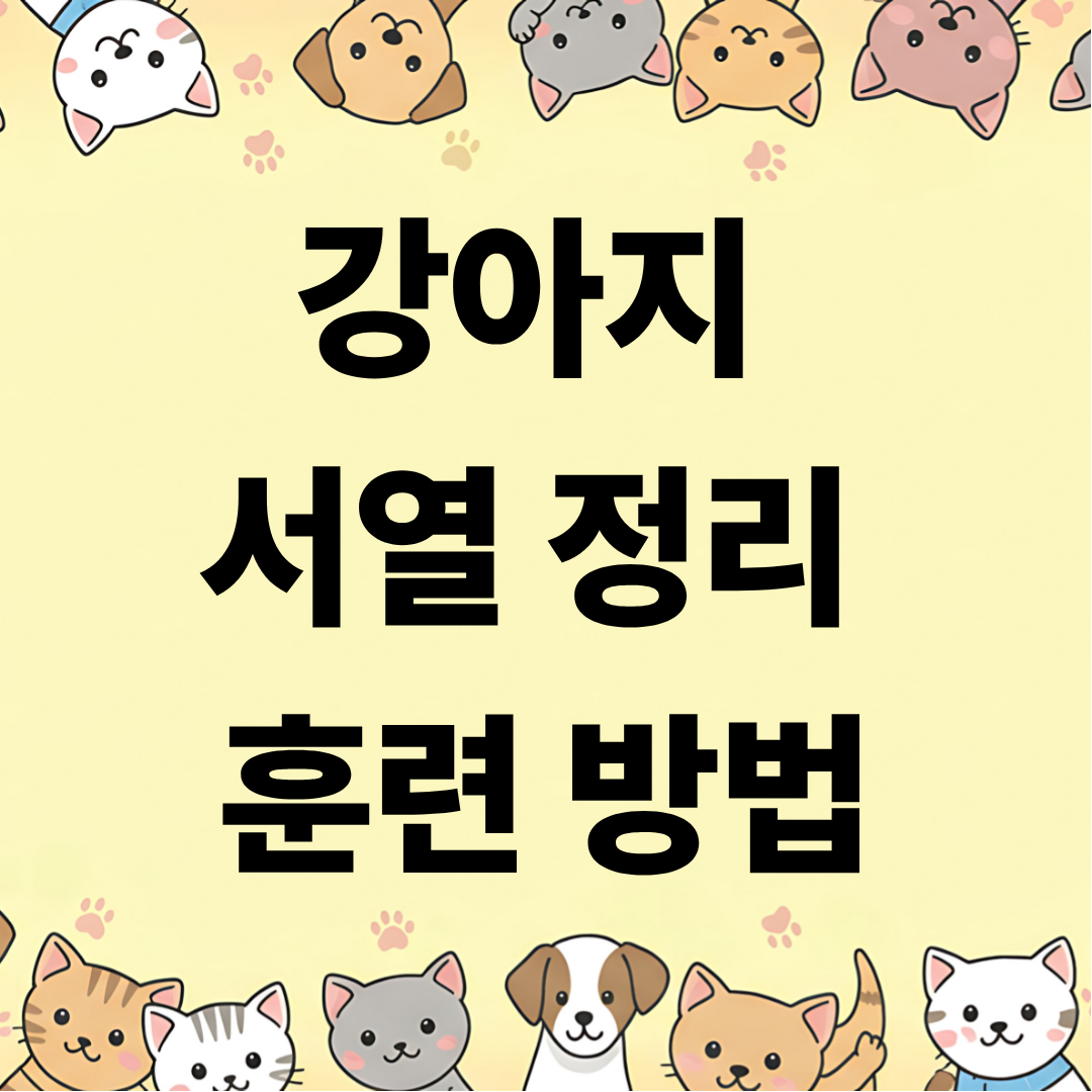 강아지 서열 정리 훈련 방법