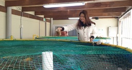 서유채농장-물고기