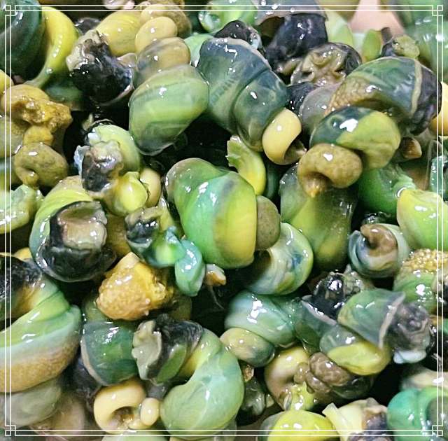 생생정보 강원 영월 동강 다슬기 한 상 맛집