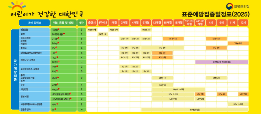 예방접종 스케줄표